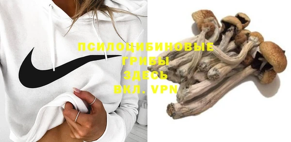 соль курить ск Богородск