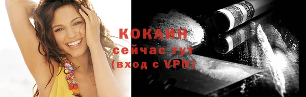 дживик Белоозёрский