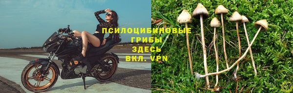 эйфоретик Богородицк