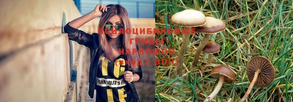 прущая мука Белокуриха