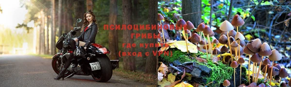 mix Богданович