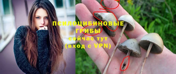 прущая мука Белокуриха