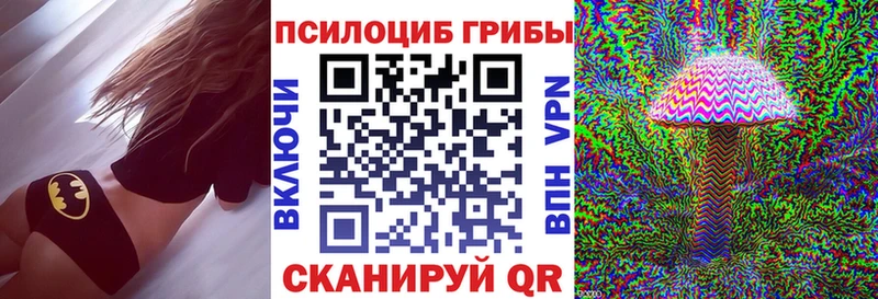 OMG зеркало  Городище  Галлюциногенные грибы прущие грибы 