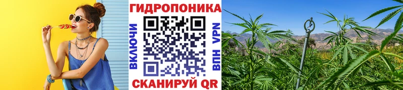 Марихуана марихуана  ссылка на мегу сайт  Городище  где купить  